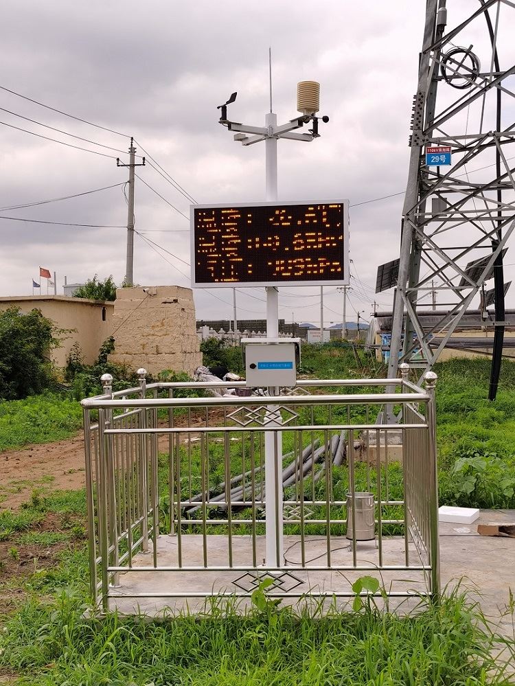65598